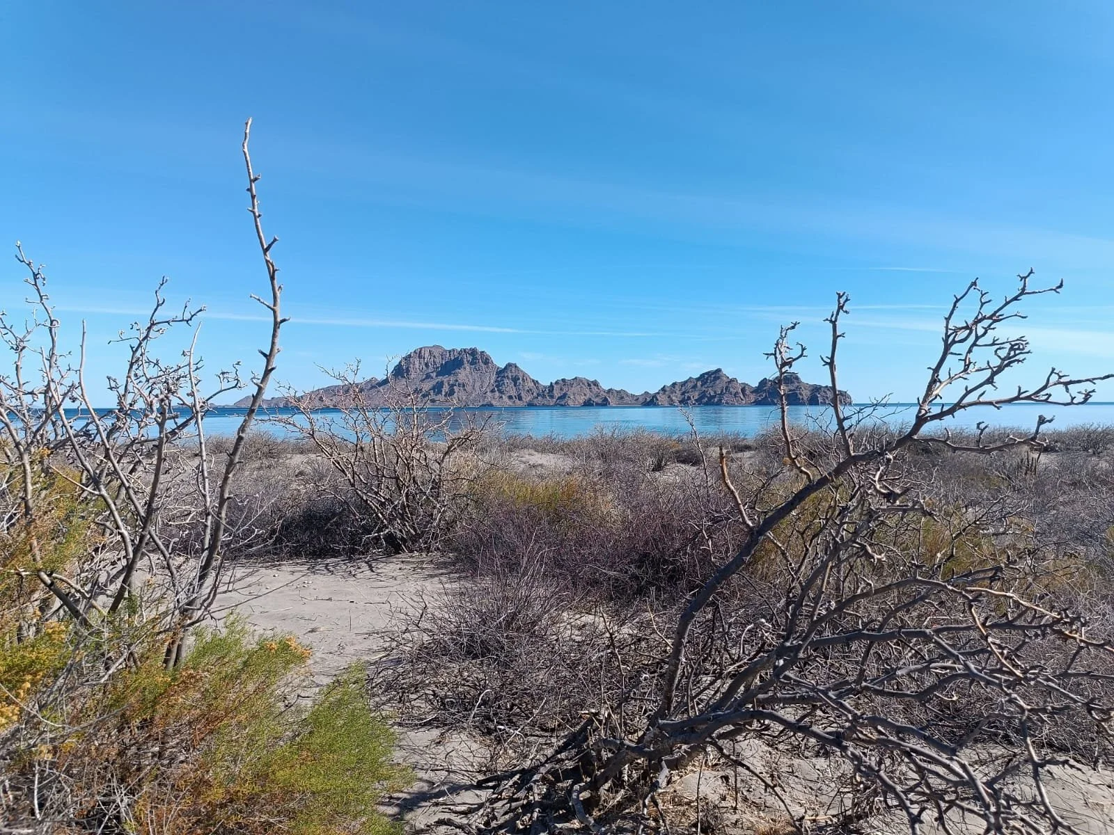 WhatsApp Image 2025-09-24 at 3.25.04 PM (7).jpeg