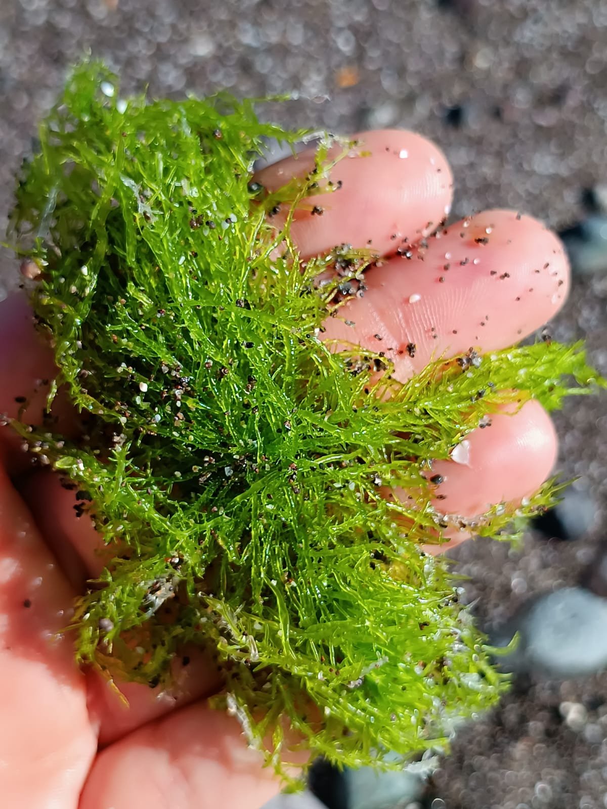 WhatsApp Image 2025-09-24 at 3.25.04 PM (5).jpeg