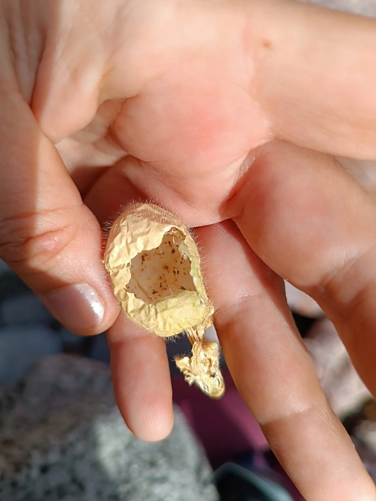 WhatsApp Image 2025-09-24 at 3.25.04 PM (3).jpeg