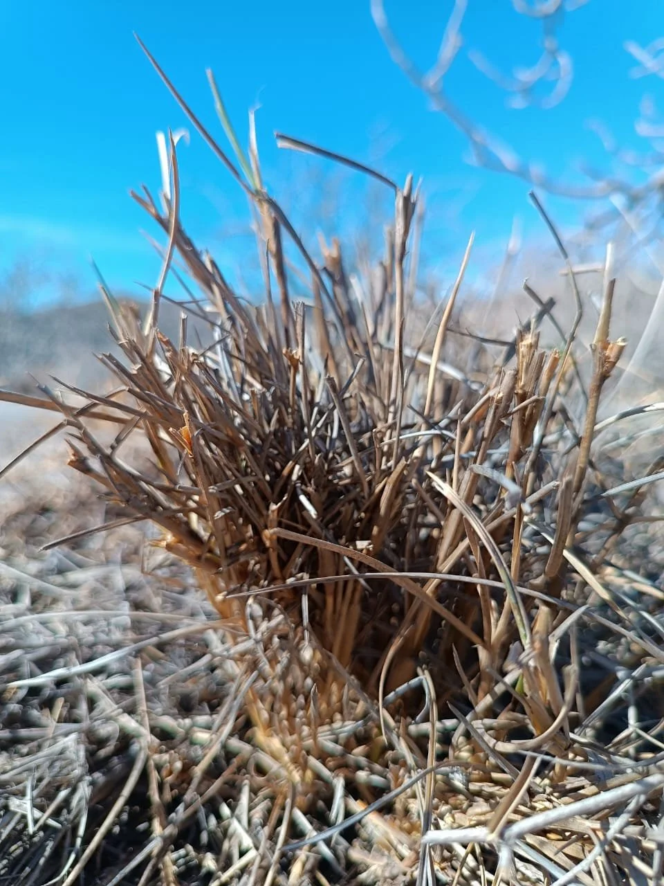 WhatsApp Image 2025-09-23 at 11.13.36 PM (4).jpeg