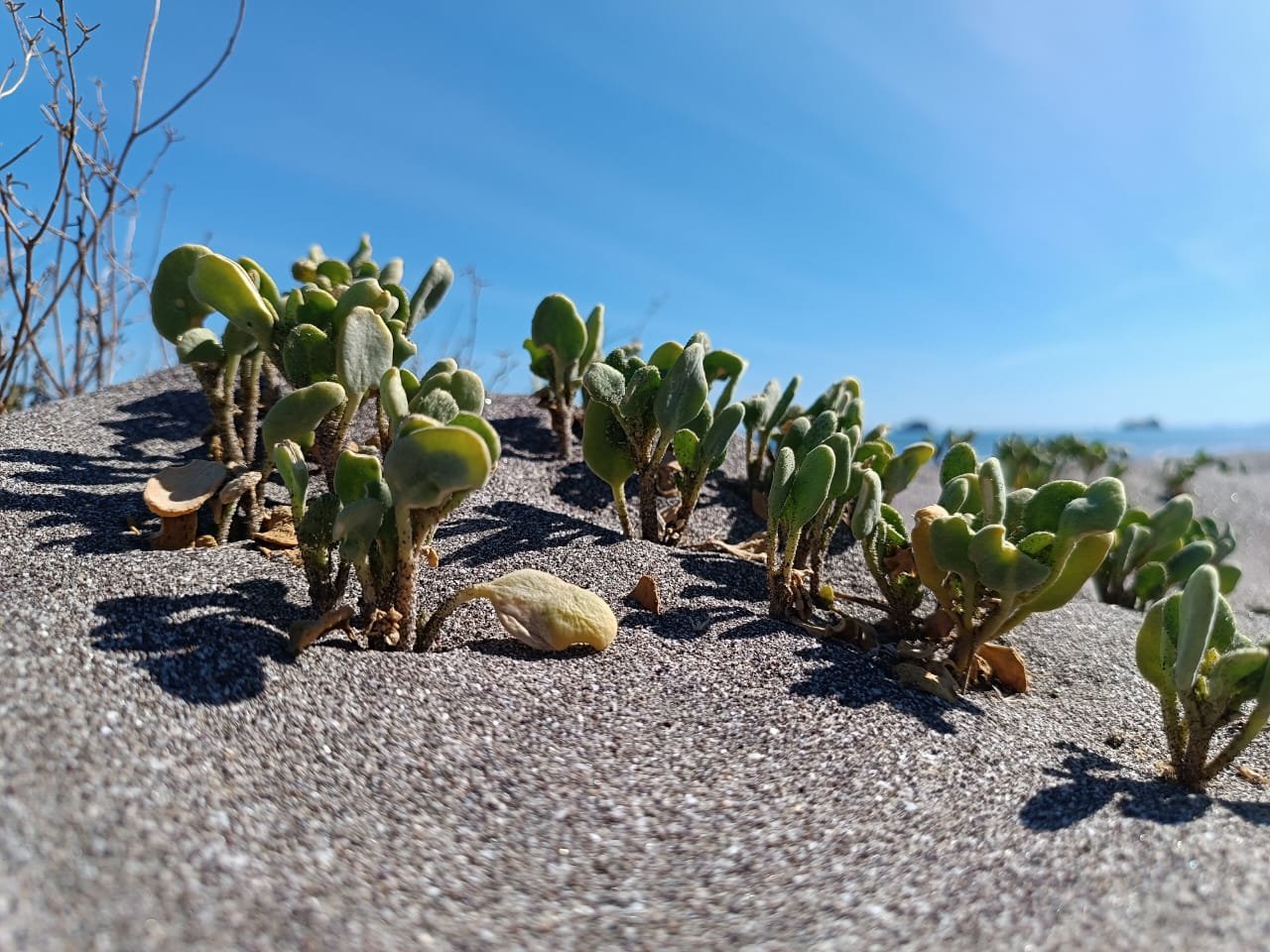 WhatsApp Image 2025-09-23 at 11.13.36 PM (3).jpeg