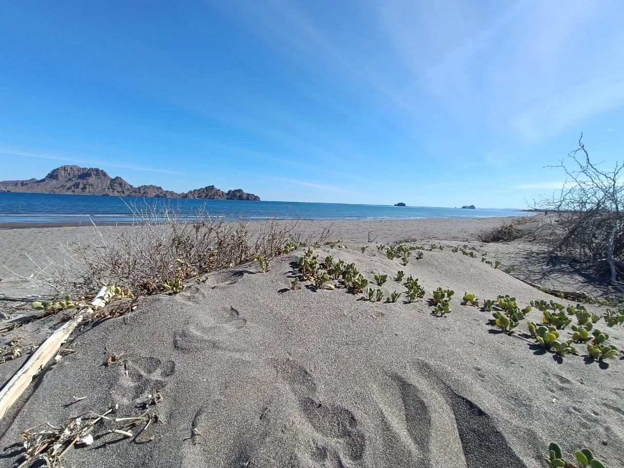 WhatsApp Image 2025-09-23 at 11.13.36 PM (2).jpeg