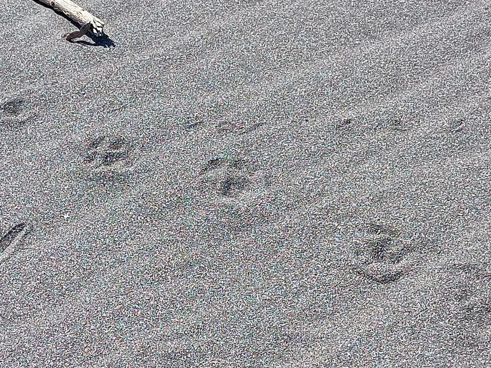 WhatsApp Image 2025-09-23 at 11.13.36 PM.jpeg