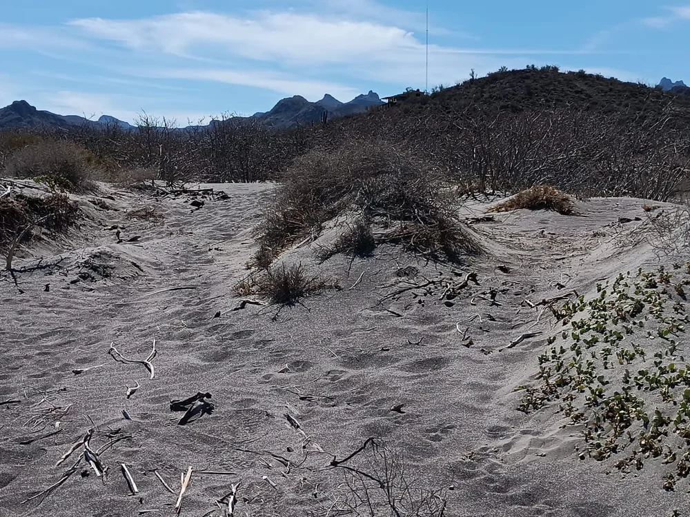 WhatsApp Image 2025-09-23 at 11.13.35 PM (6).jpeg