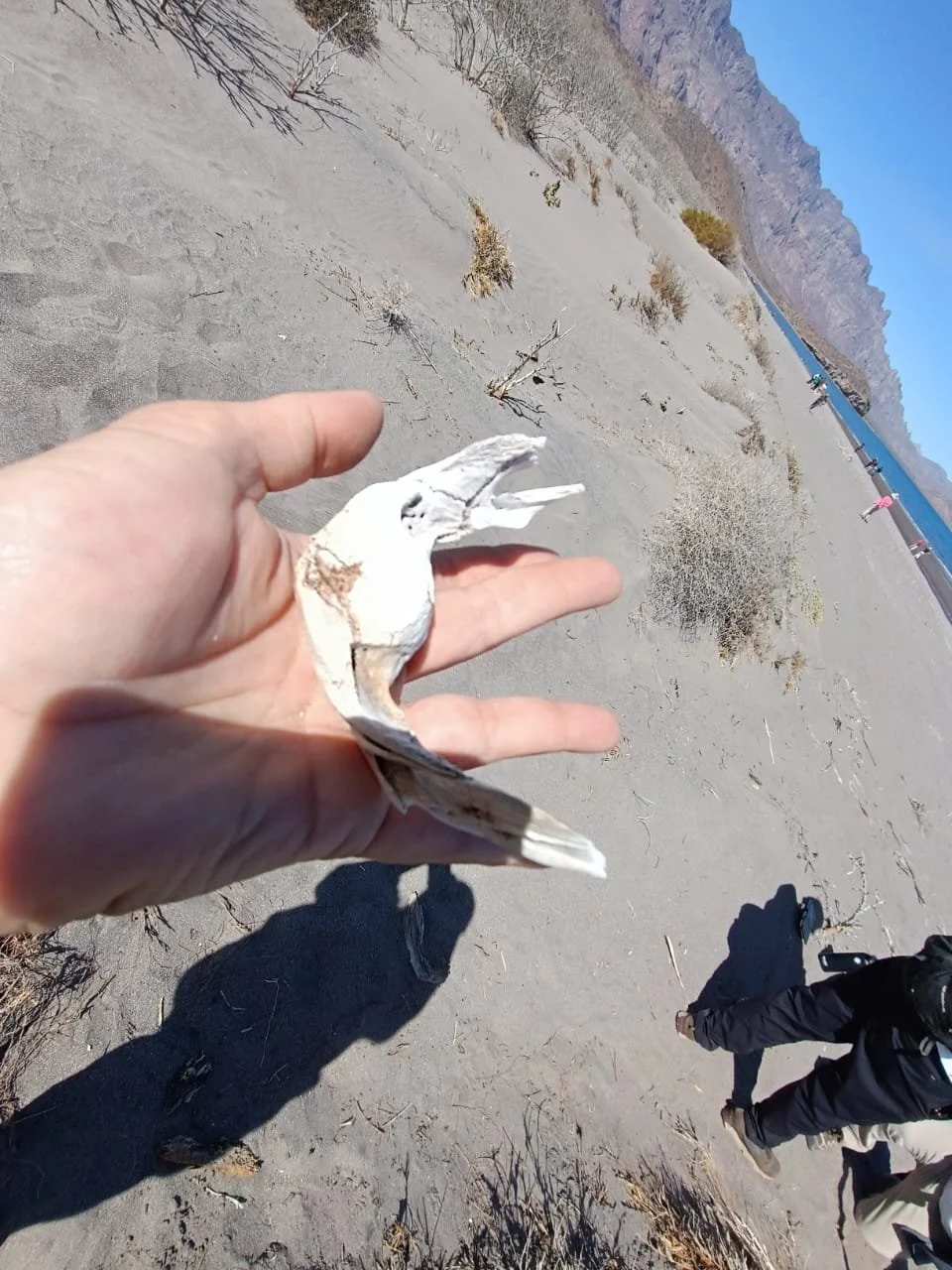 WhatsApp Image 2025-09-23 at 11.13.35 PM (5).jpeg