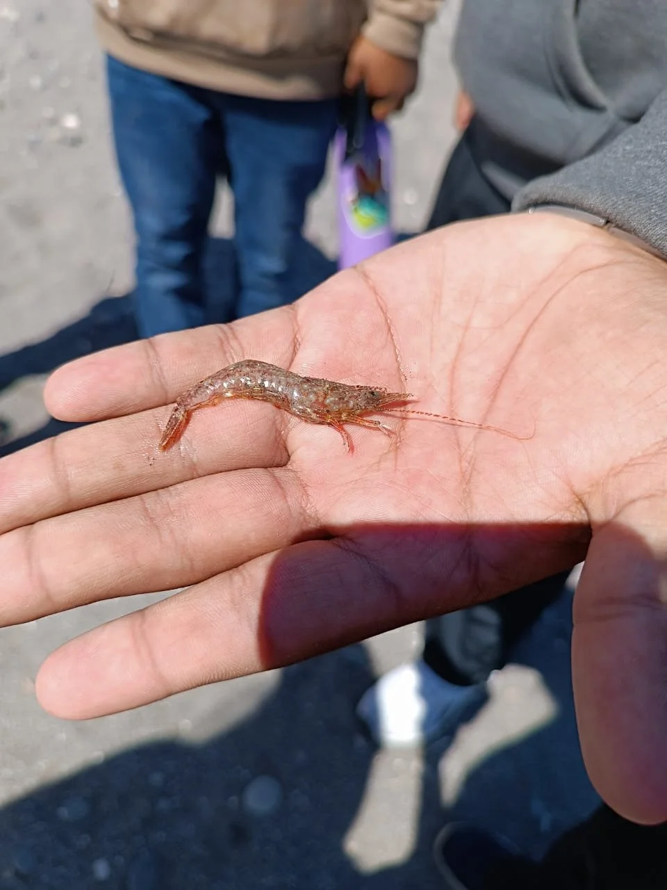 WhatsApp Image 2025-09-23 at 11.13.35 PM (4).jpeg