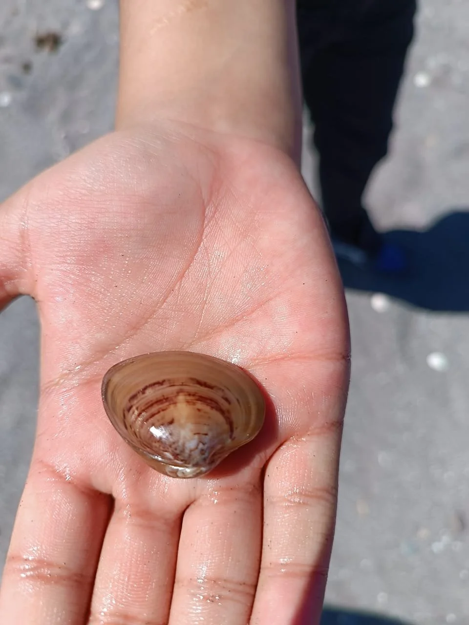 WhatsApp Image 2025-09-23 at 11.13.35 PM (3).jpeg