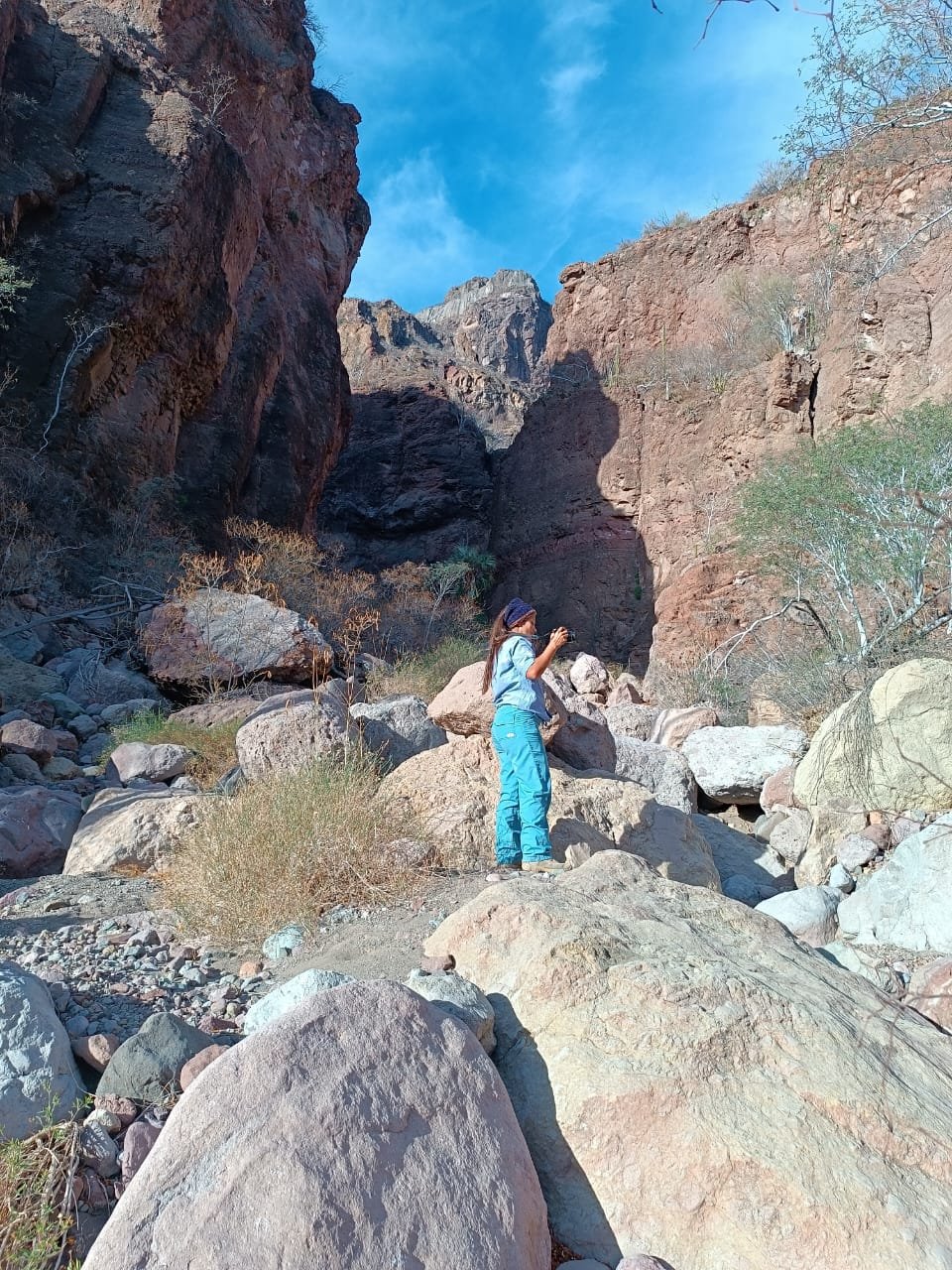 WhatsApp Image 2025-09-23 at 11.13.35 PM (2).jpeg