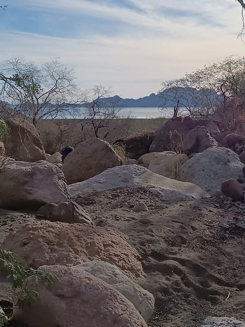 WhatsApp Image 2025-09-23 at 11.13.35 PM (1).jpeg