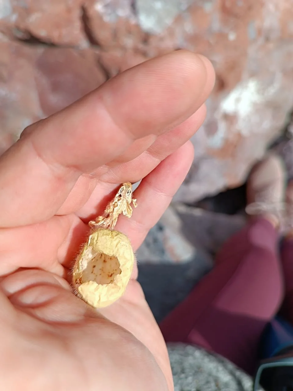 WhatsApp Image 2025-09-23 at 11.13.35 PM.jpeg