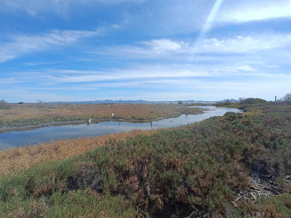 WhatsApp Image 2025-09-23 at 11.13.34 PM (5).jpeg