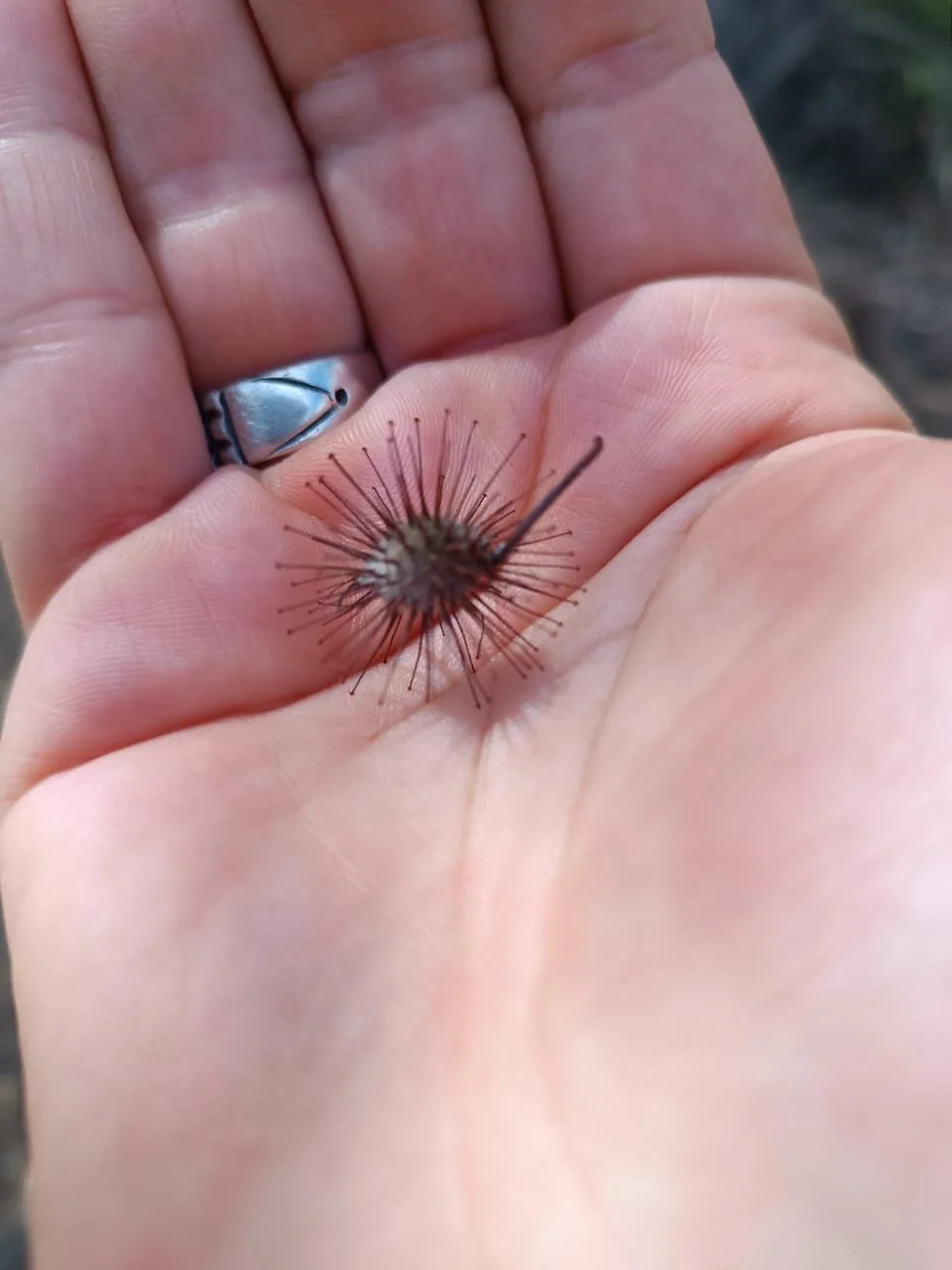 WhatsApp Image 2025-09-23 at 11.13.33 PM (5).jpeg