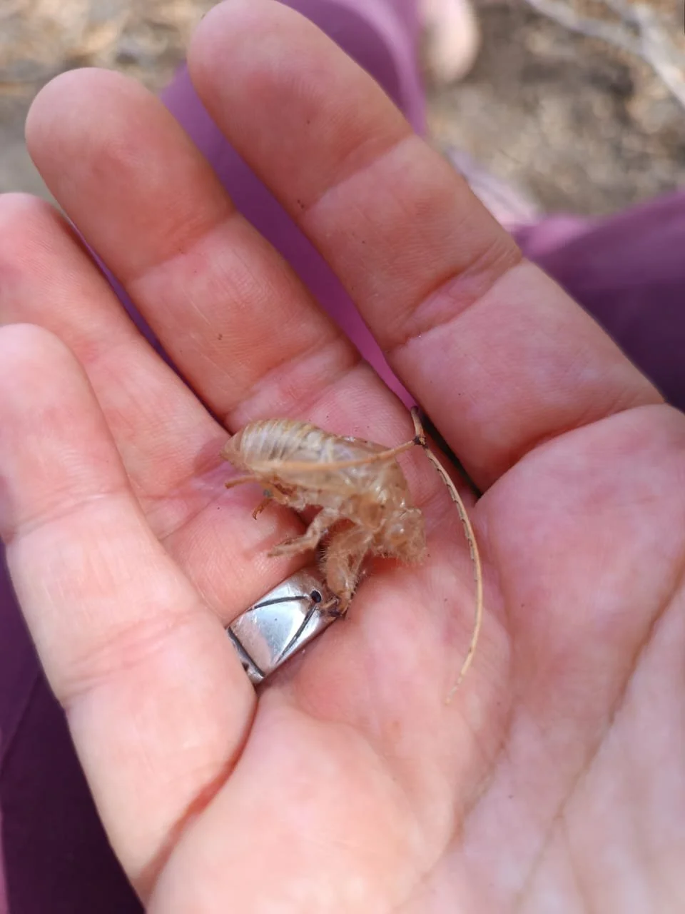 WhatsApp Image 2025-09-23 at 11.13.33 PM (4).jpeg