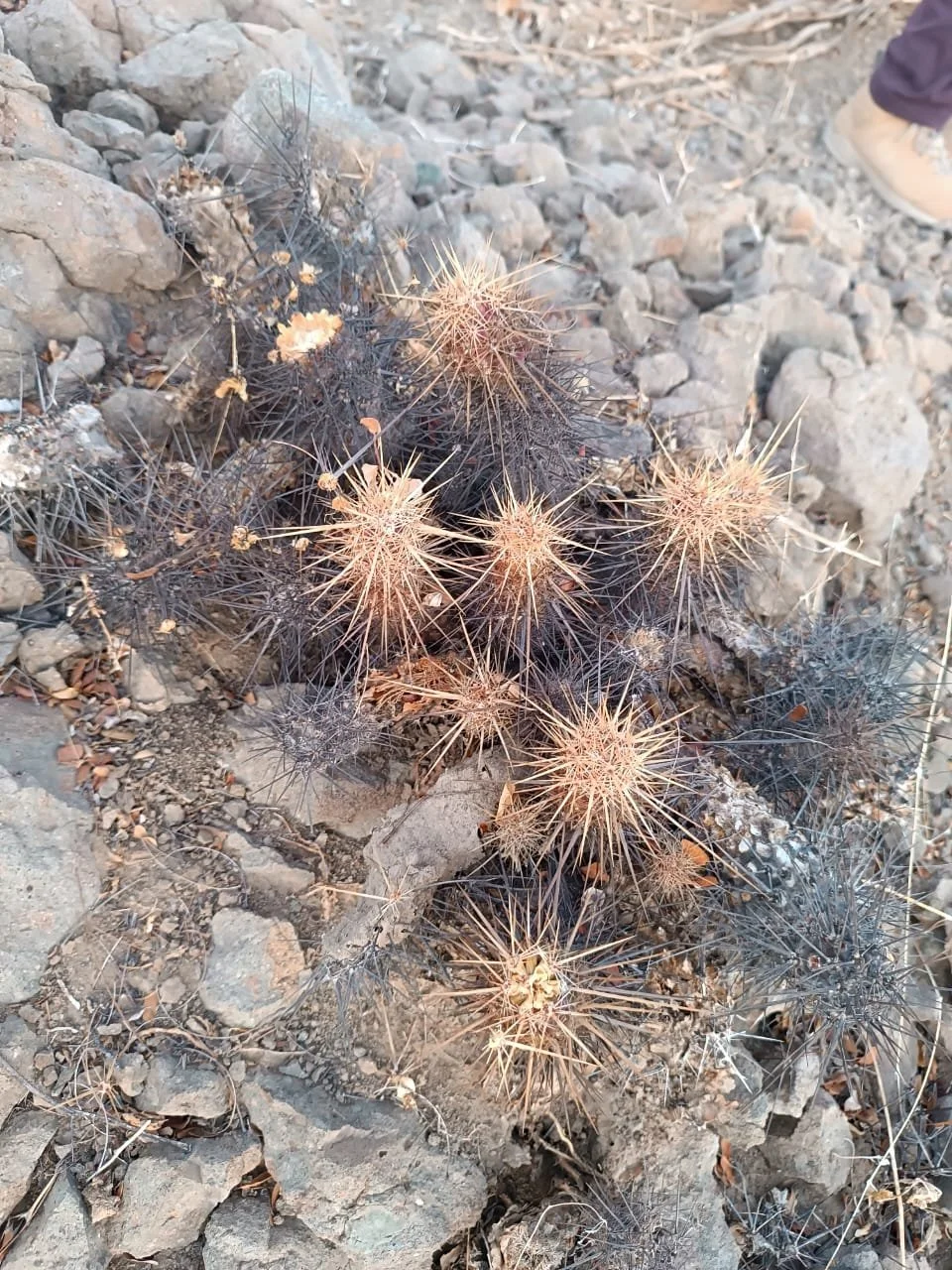 WhatsApp Image 2025-09-23 at 11.13.32 PM (1).jpeg