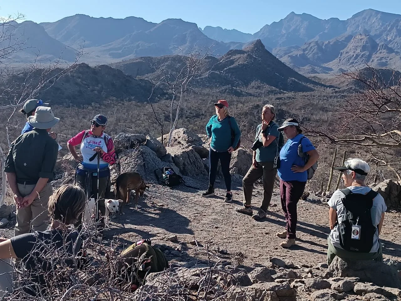 WhatsApp Image 2025-09-23 at 11.13.31 PM (3).jpeg