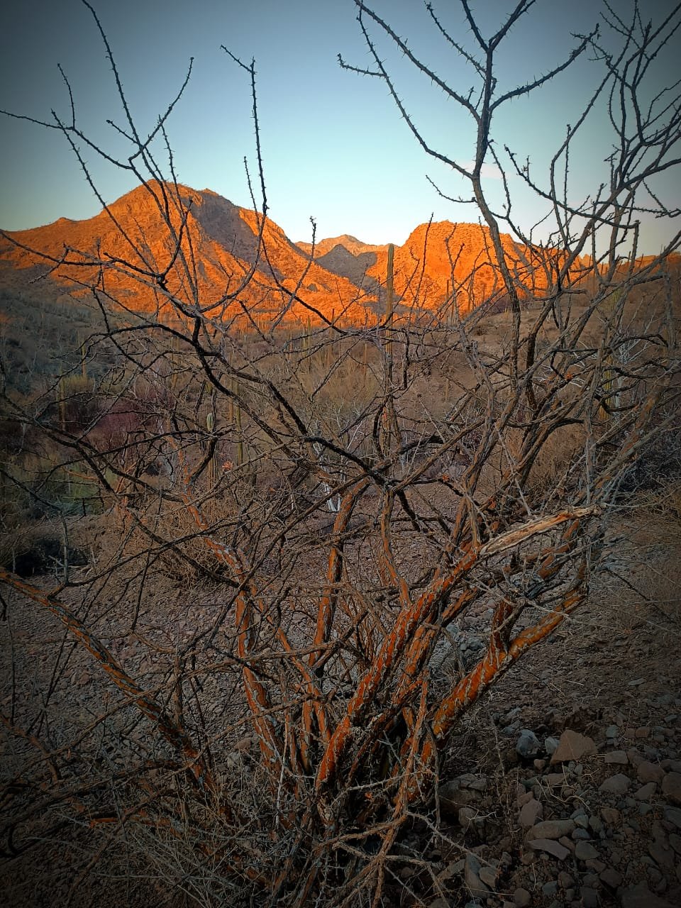 WhatsApp Image 2025-09-23 at 11.13.30 PM (5).jpeg