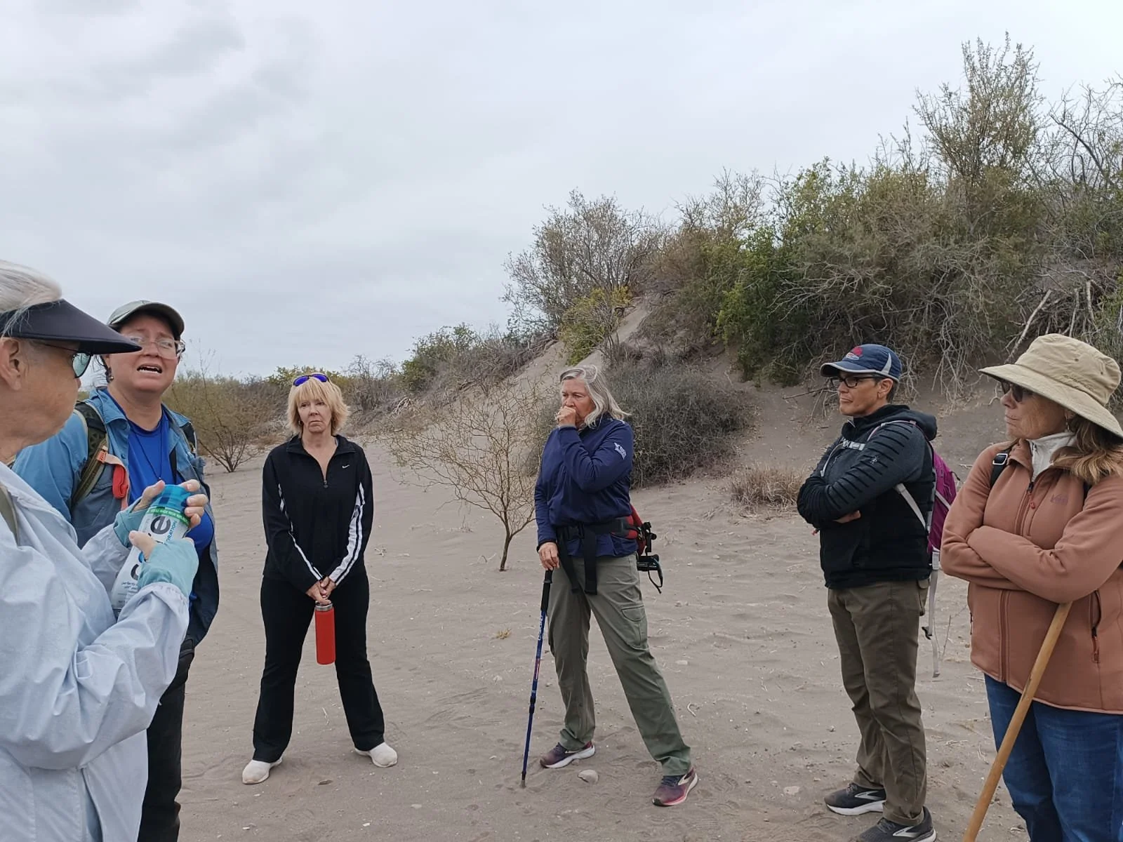 WhatsApp Image 2025-03-14 at 7.52.07 AM (2).jpeg