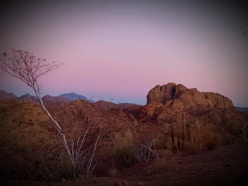 WhatsApp Image 2025-09-23 at 11.13.30 PM (4).jpeg