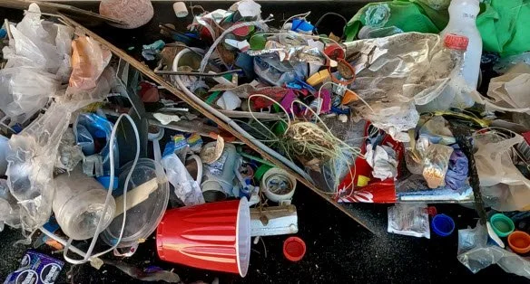 Trash &amp; microplastics