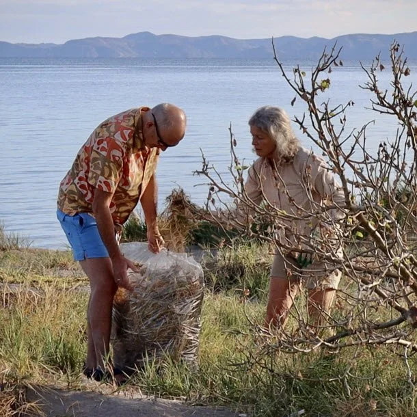 Hands-on restoration