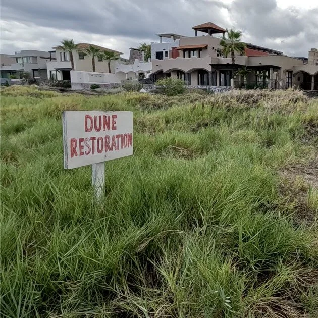Safeguarding sensitive dunes