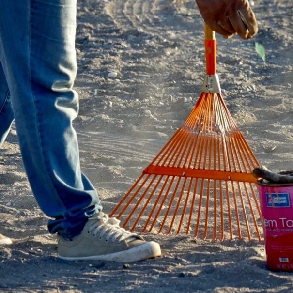 Collecting beach debris