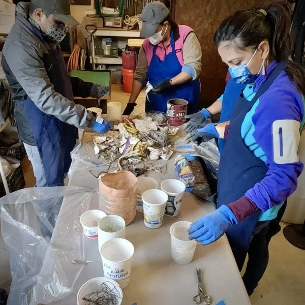 Manually sorted by volunteers