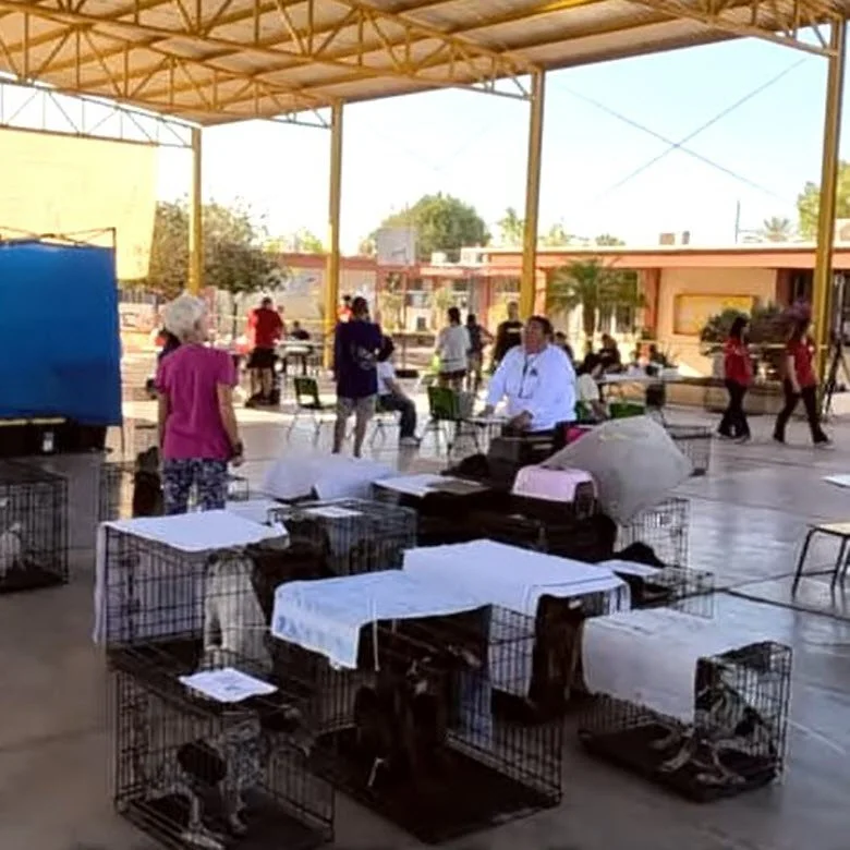Community clinic day