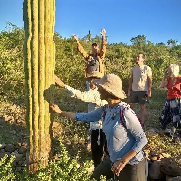 Hiking - Cardon Up Close.jpg