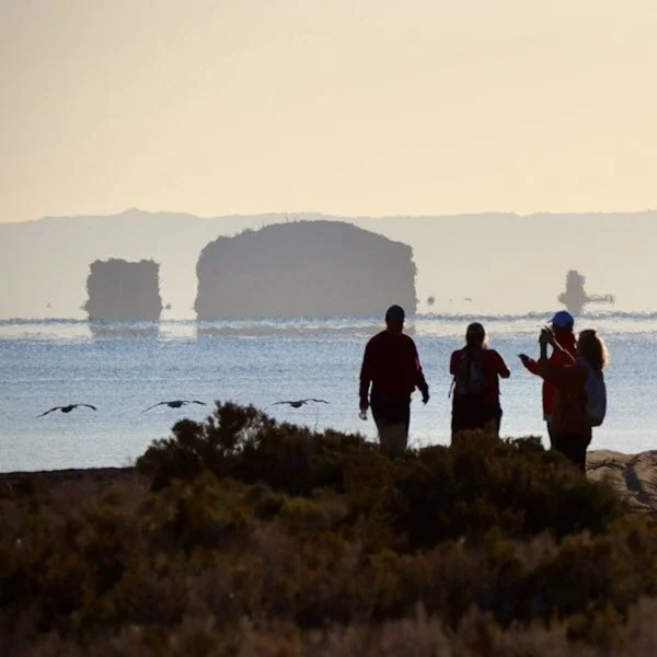 Hiking - Coast.jpg