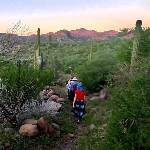 Hiking - Park Trail.jpg