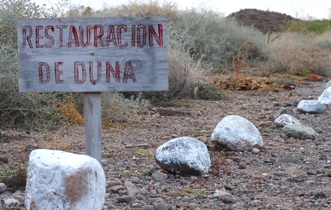 Dune Preservation 9.jpg