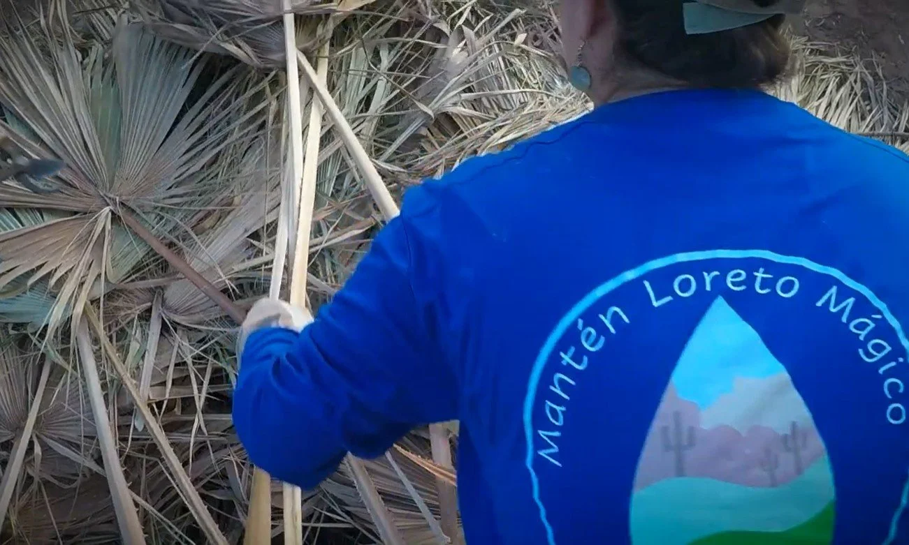 Dune Preservation 8.jpg