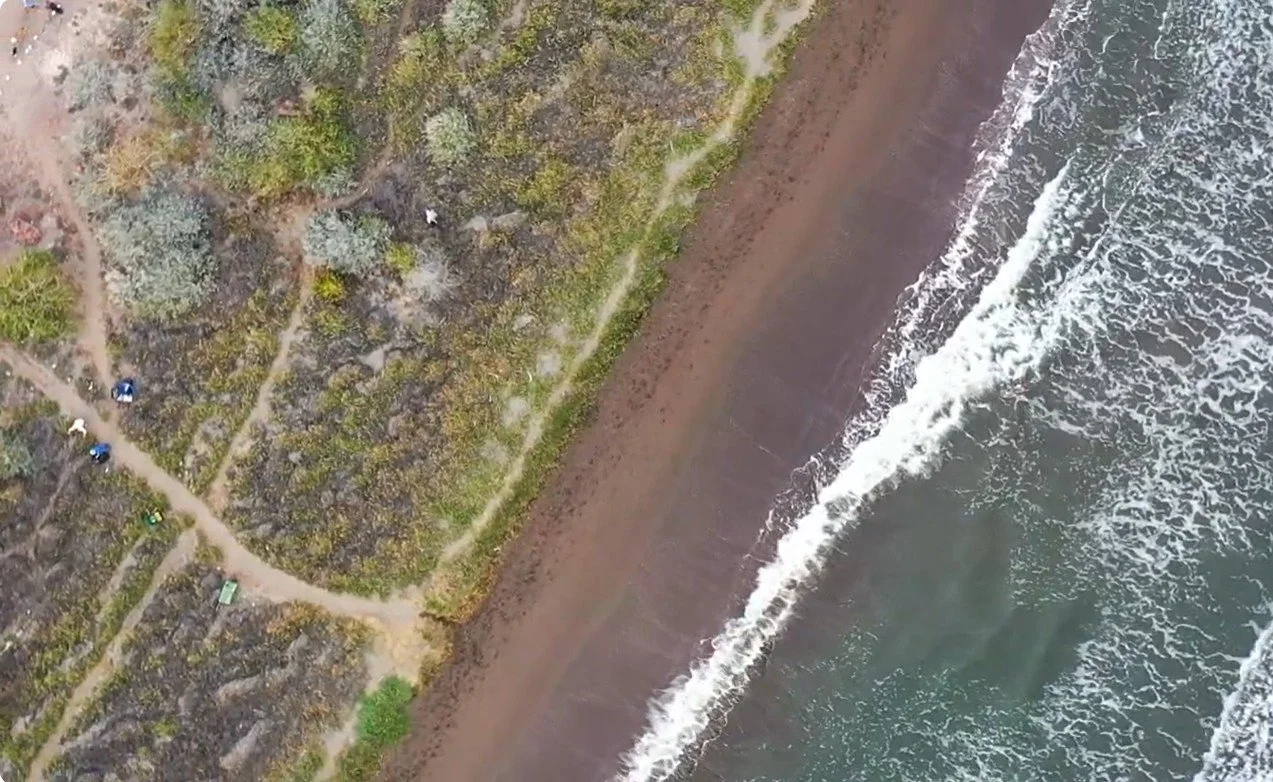 Dune Preservation 7.jpg