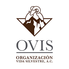 OVIS (Square).png
