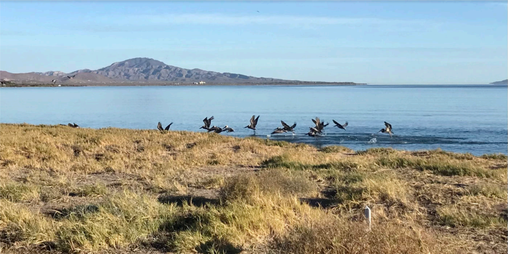 Revisiting the Beauty, Heritage and Community of Loreto