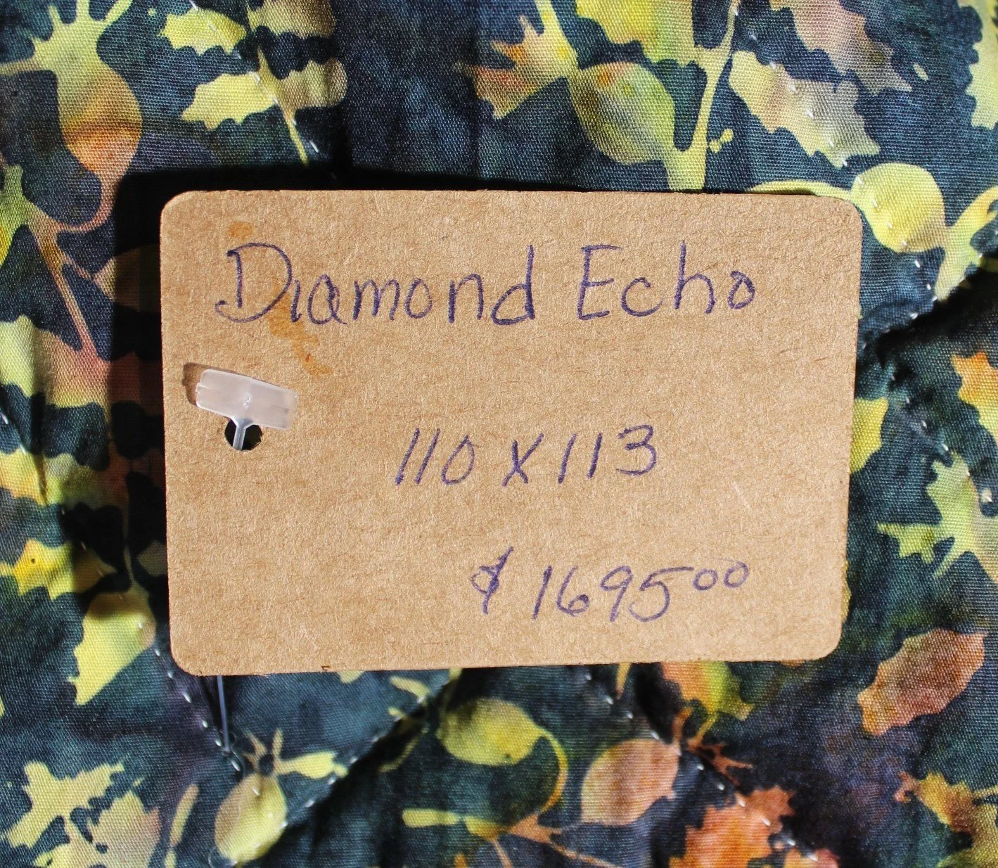 11157 Diamond Echo 14.JPG