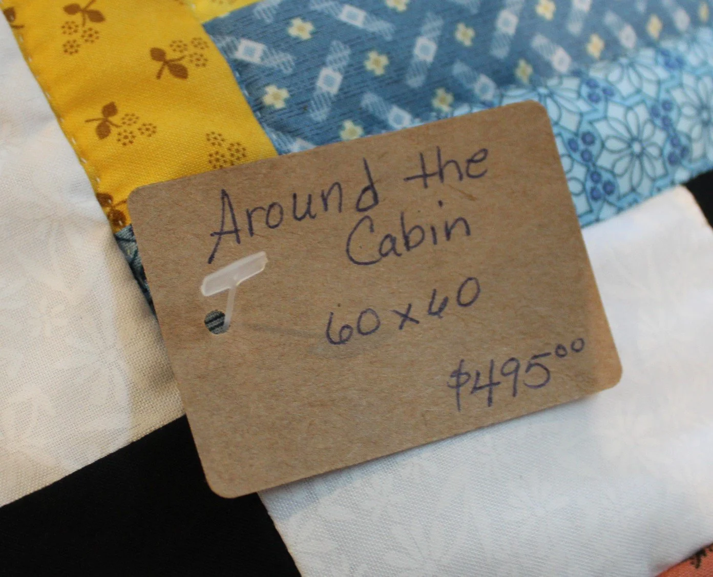 11166 Around the Cabin 4.JPG