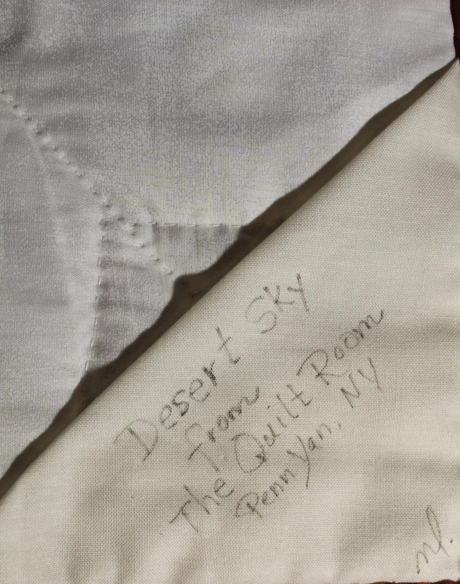 11161 Desert Sky 12.JPG