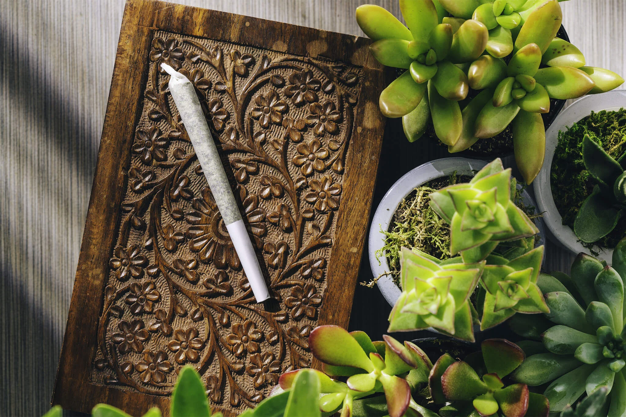 Pre Roll Succulent_Social.jpg
