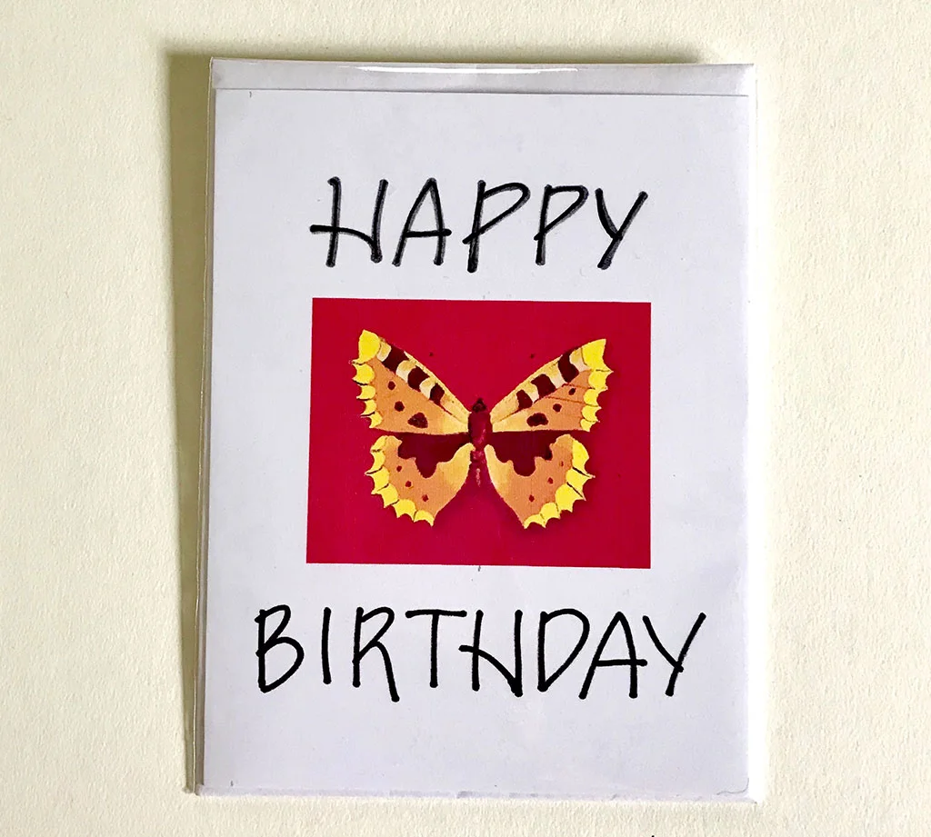 "Pollinators" Greeting Card - Red Happy Birthday