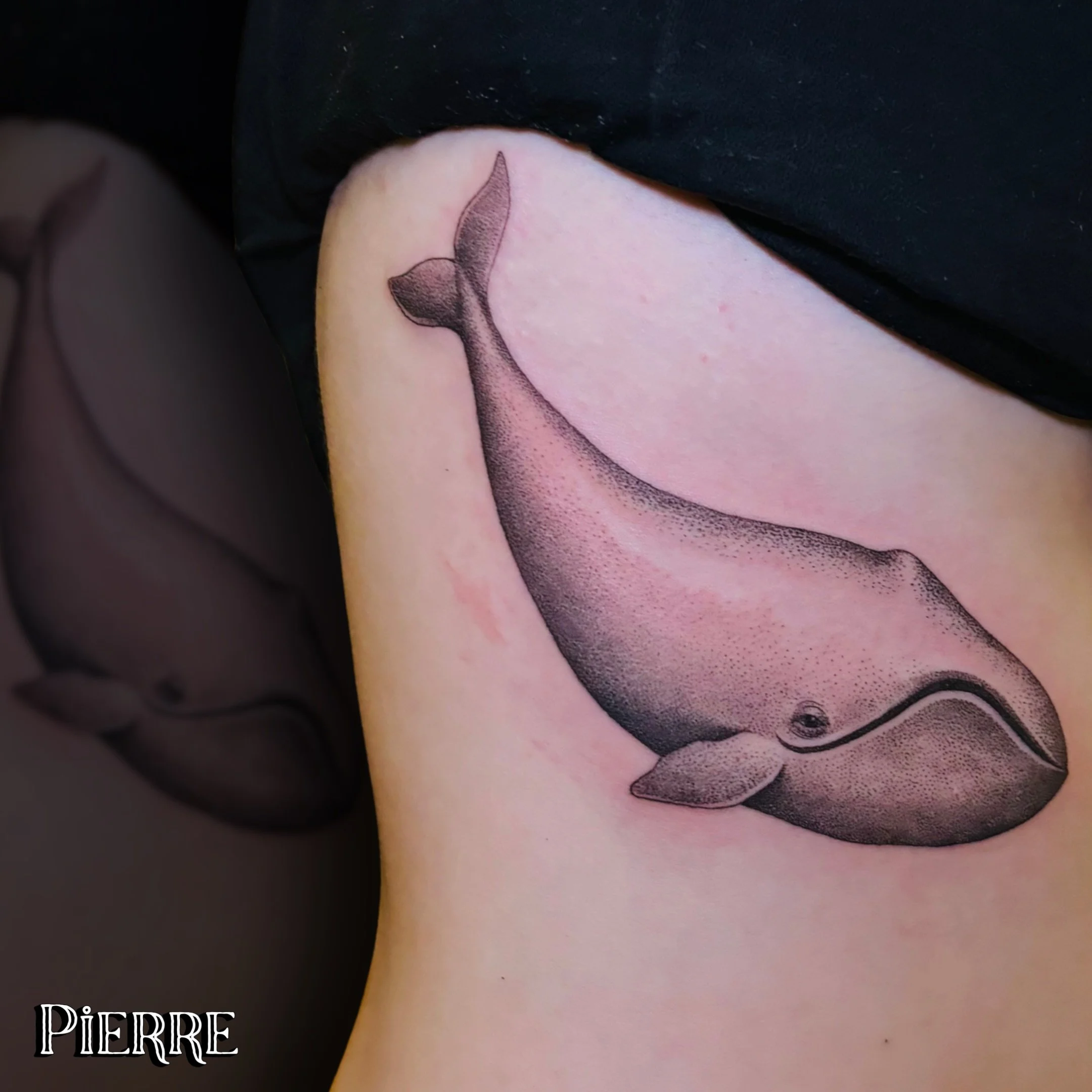 There is something so cool about this stippled shading. It almost looks like a vintage scientific illustration. @doctorze really brought this giant of the sea to life ⚓

Nature lovers, if you&rsquo;ve been wanting a clean animal piece like this, Pier