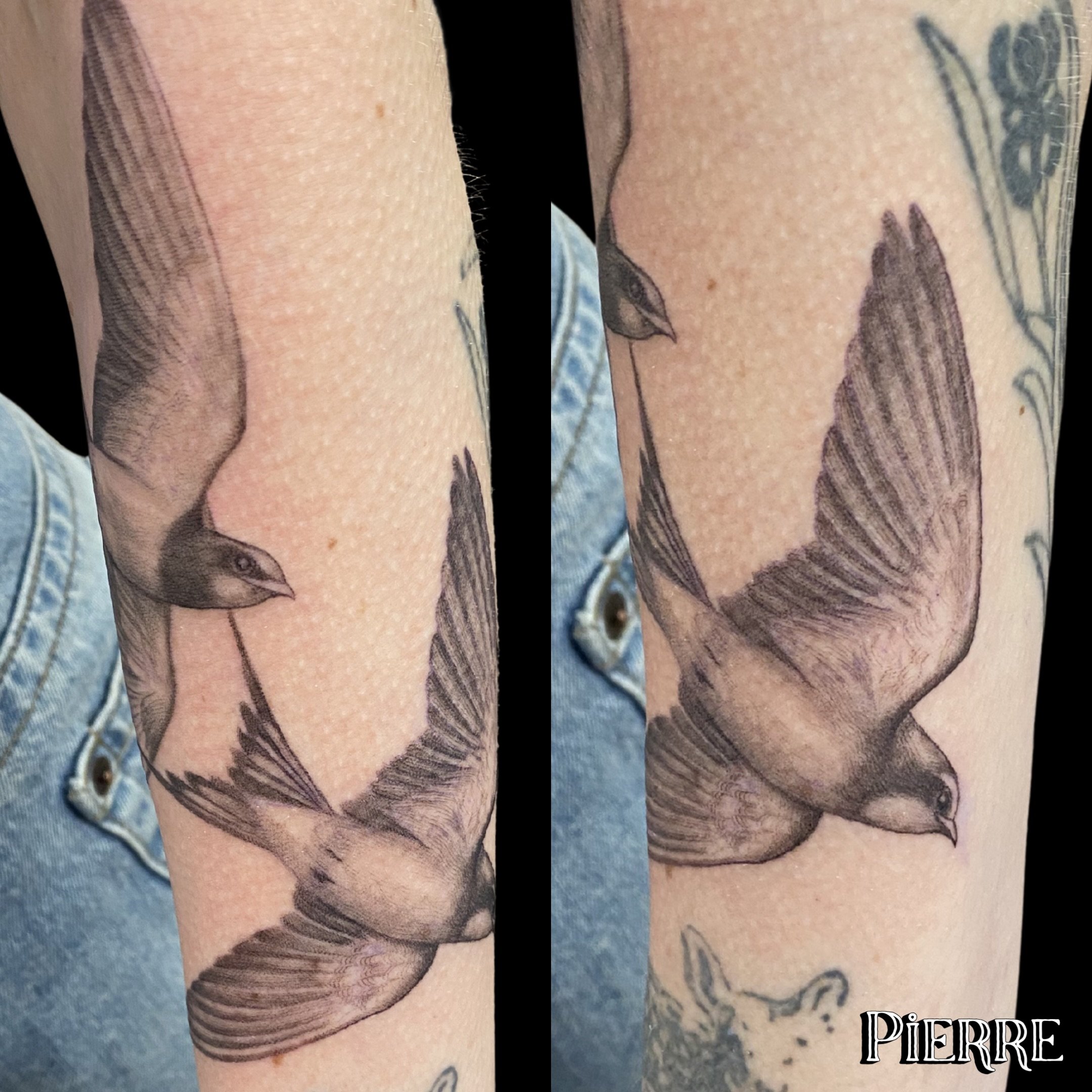 @doctorze really brought these swallows to life. The placement wraps so cleanly on the arm, and the contrast in his black and grey work is just perfect.

A custom wildlife piece is such a classic way to show your love for animals. If you&rsquo;d like