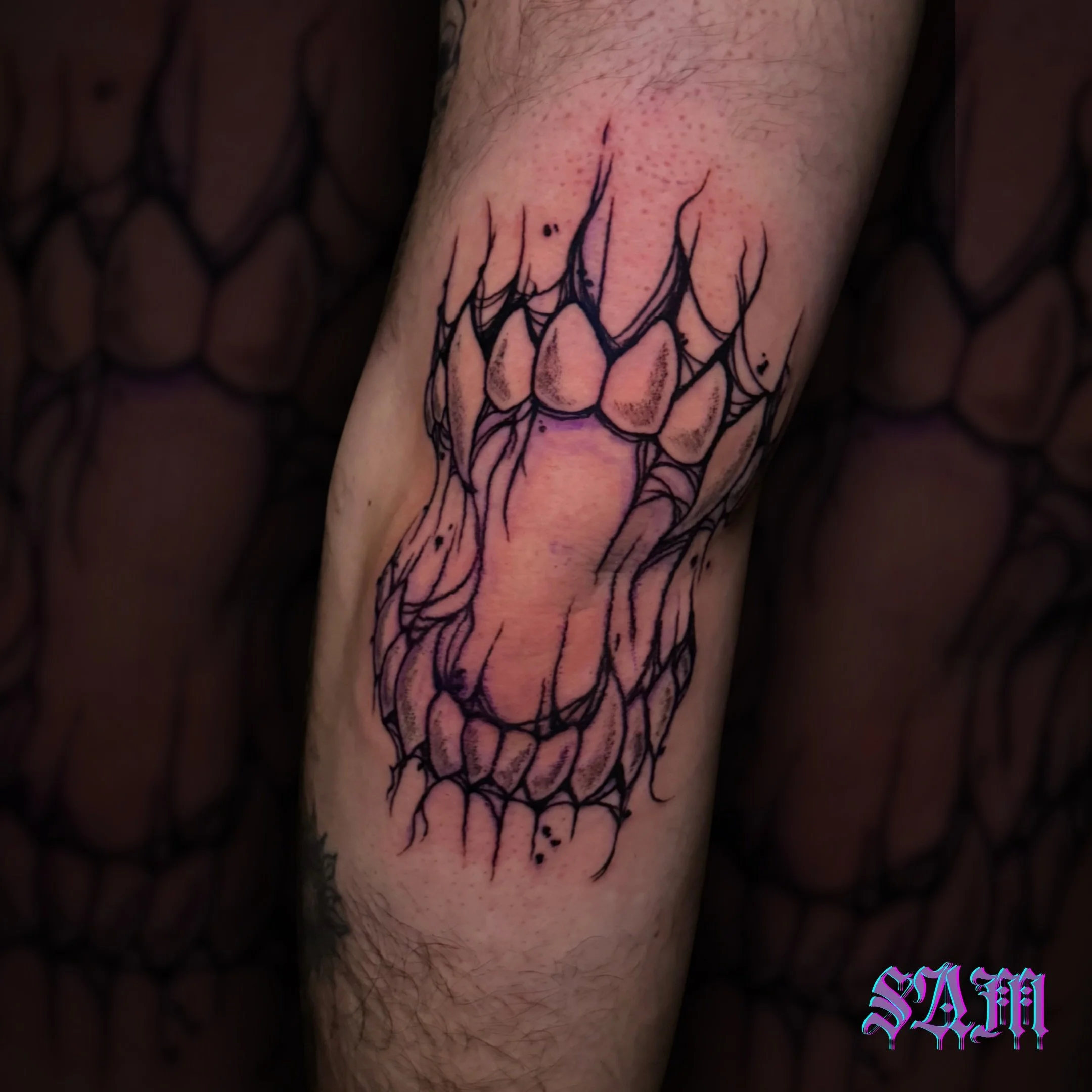 🦇 @samjadeink knocked these fangs on the elbow out of the park

Ready for your next piece? Check out below how to book! 

🔗Click link in the bio
📧 Email us at heidi@missheidistattoo.com
📱Call or Text us at (407)296 8860

⚠️ Be sure to check your 