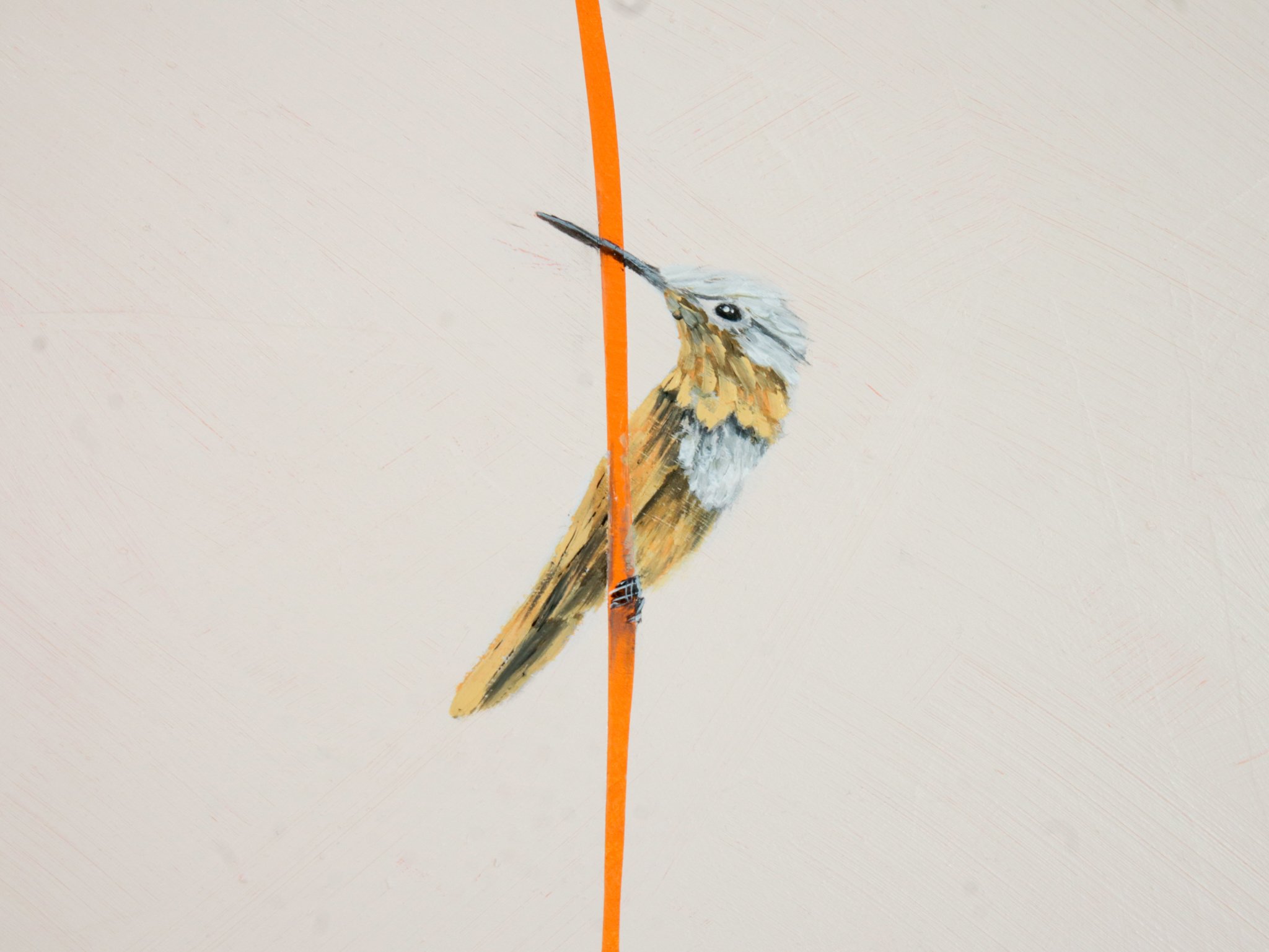 Adore 2.0 Edited Photos-40.jpg