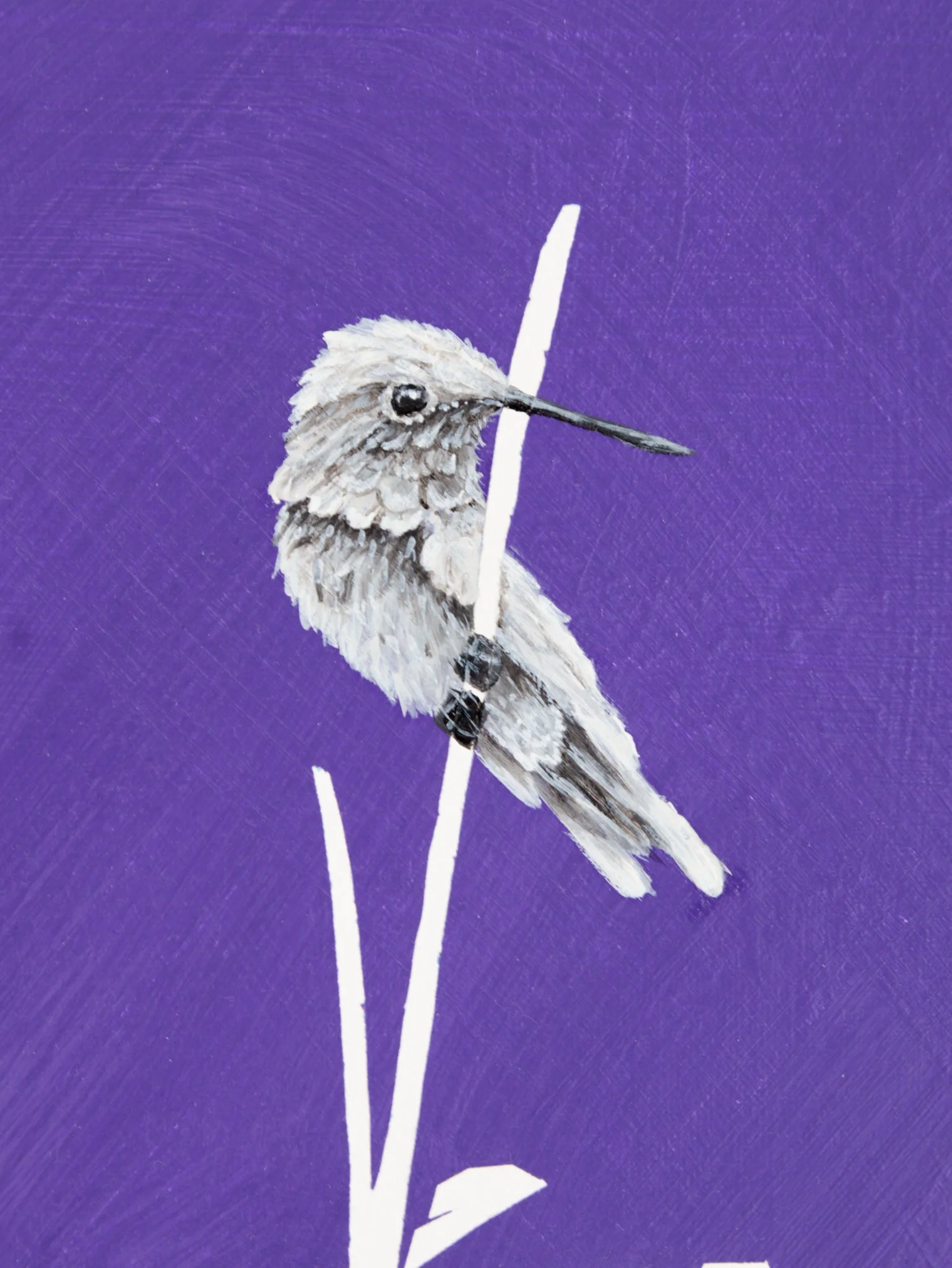 Adore 2.0 Edited Photos-32.jpg