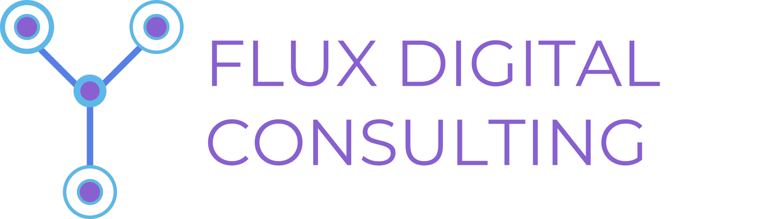 Flux Digital Consulting