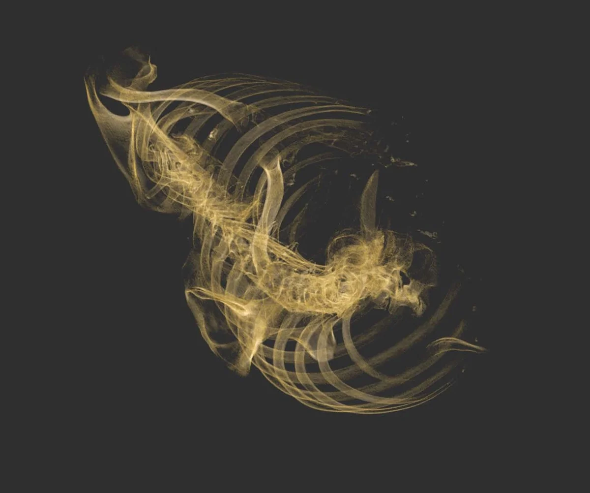 Gold-black skeleton (#2)