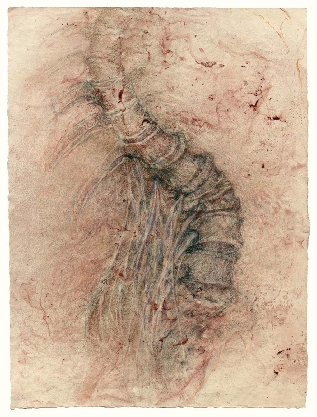 Turning vertebrae with spinal nerves (red), 15 x 11 in. $3,600