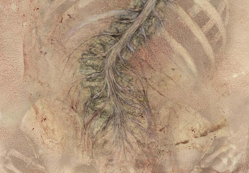 spinal_cord_scroll-detail.jpg